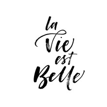 La Vie Est Belle Card. Hand Drawn Brush Style Modern Calligraphy. Vector Illustration Of Handwritten Lettering. 