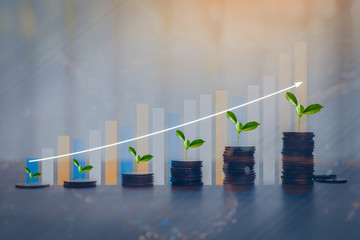 Money coin stack growing graph with bokeh light background,investment concept. plant growing on coin, business finance and save money concept.