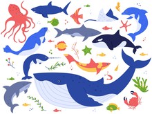 Ocean Animals. Cute Fish, Orca, Shark And Blue Whale, Marine Animals And Sea Creatures Illustration Vector Set. Seaweed, Algae, Starfish And Water Plants Isolated On White Background