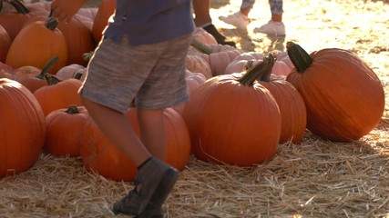 halloween pumpkin patch boy picking up pumpkinds