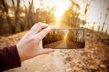 Wall Mural - Make an autumn photo on a mobile phone.