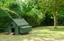 Small Chicken Coop Seen Erected Within A Domestic Garden As Seen In Mid Summer.