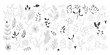 © madiwaso - Set of black hand drawn christmas new year winter doodle icons xmas mistletoe pine cone, fir branch, snowflake, leaves isolated. Vector illustration in outline style