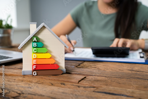 Cuadros en Lienzo Woman Calculating Energy Efficient House