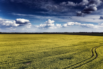 Wall Mural - Cloudy sky over countryside landscape.