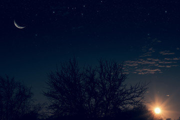 Wall Mural - night landscape