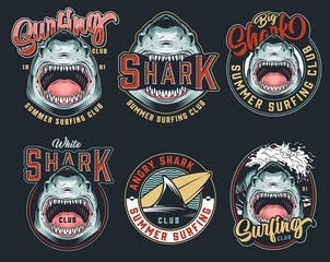 Wall Mural - colorful summer surfing club logos