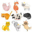 Cute cats faces. Hand drawn characters. Sweet funny kittens.