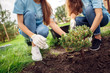 © Viktoriia - Volunteering. Young people volunteers outdoors planting tree together close-up