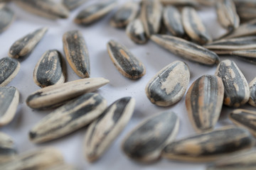 sunflower seeds isolated on white