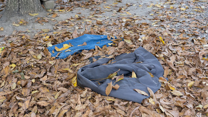 Clothes lie on yellow leaves in autumn