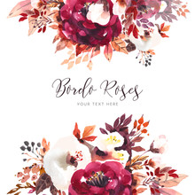Beautiful Bordo Roses Background In Watercolor Style