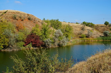 Poster - lake in forest