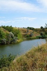 Poster - landscape with river and trees