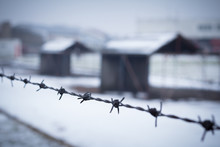Barbed Wire Closeup With Detention Camp In Background