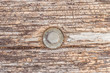 © GuRezende - Old natural aged wood surface background