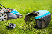 Lawn Mower Machine In Garden, Grass Box Filled With Grass. Garden And Lawn Care Theme