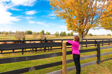 Wall Mural - Woman enjoying countryside view with horses in autumn season.