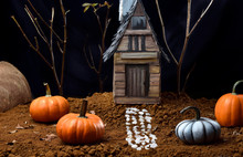 Pumpkins On Wet Ground, In The Background A Cardboard House Painted With Acrylic And Branches Simulating Trees.