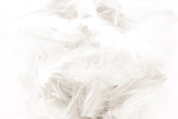 Fototapeta Boho - Beautiful abstract black and white feathers on white background and colorful soft gray feather  texture