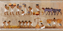 Life In Ancient Egypt, Frescoes. Egyptians History Art. Agriculture, Workmanship, Fishery, Farm. Hieroglyphic Carvings On Exterior Walls Of An Old Temple