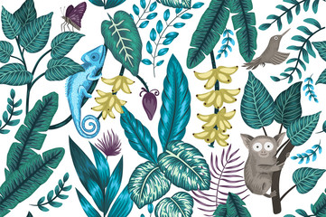  Vector seamless background with tropical plants, insects and animals. Exotic jungle repeating pattern with chameleon, tarsier, bird of paradise, butterfly, bananas..