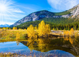 Fototapeta Krajobraz - Abraham lake reflects the golden foliage