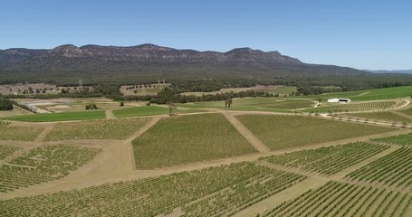 Wall Mural - Hunter valley wine making region of Australia in Pokolbin around mountain range on a sunny day over vineyards.