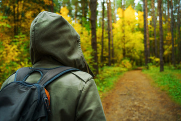 Wall Mural - A man with backpack walks in the amazing autumn forest. Hiking alone along autumn forest paths. Travel concept.