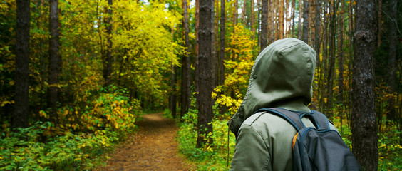 Wall Mural - A man with backpack walks in the amazing autumn forest. Hiking alone along autumn forest paths. Travel concept.