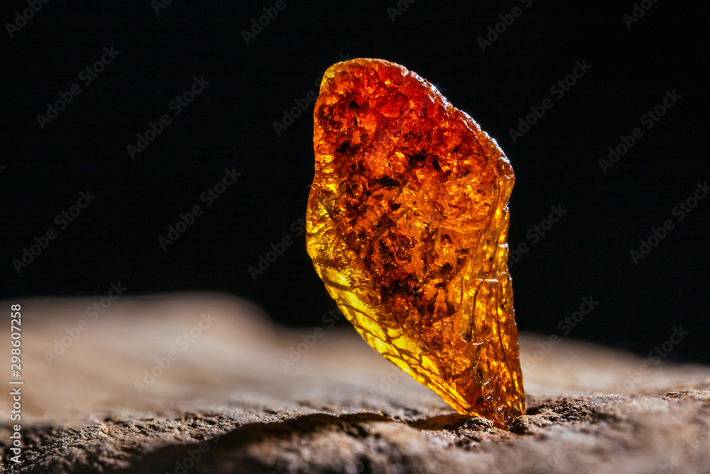 Natural amber. A piece of yellow transparent natural amber on large piece of dark stoned wood. - obrazy, fototapety, plakaty 