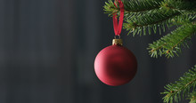 Red Chrismas Ball On A Spruce Branch Indoor