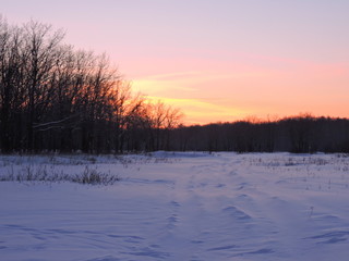 Canvas Print - sunset over the lake in winter