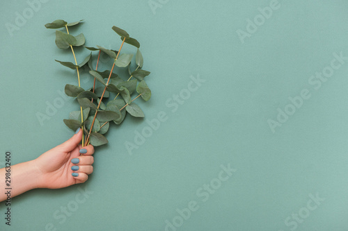 Ταπετσαρία τοιχογραφία Female hand with trendy manicure and branches of eucalyptus on green background