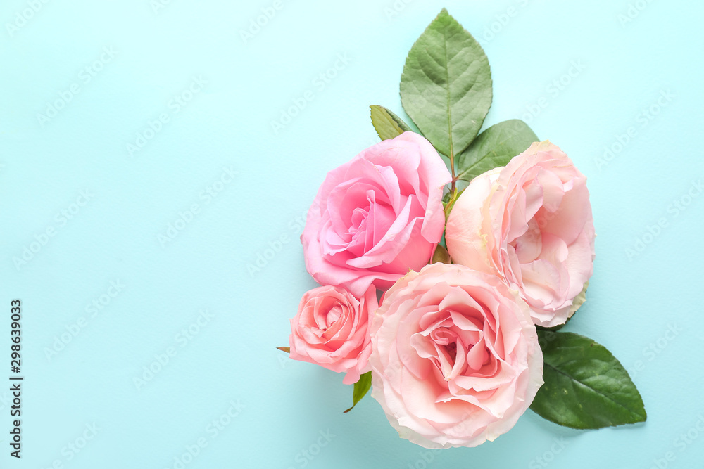 Beautiful fresh roses on color background