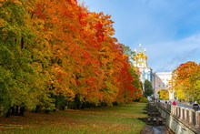 Catherine Palace Church Dome And Autumn Foliage, Tsarskoe Selo (Pushkin), St. Petersburg, Russia