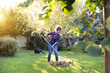 Woman raking leaves on lawn