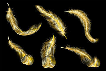 Set of gold  feather. Vector illustration.