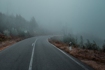 Wall Mural - Road in the clouds in high altitude in the mountains with foggy and mist weather conditions. Road trip on a travel vacation day. Serra de Monchique, Algarve in Portugal