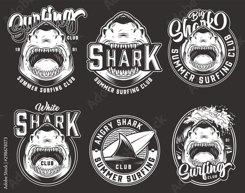 Vintage monochrome surfing club emblems