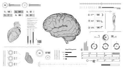 Human brain scan. Futuristic medical user interface with HUD and infographic elements. Virtual technology background. Head-up display template for business, games, motion design, web and app.