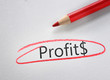 © zimmytws - Profit text circled in red pencil