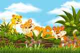 Fototapeta Pokój dzieciecy - Cheetah in jungle scene