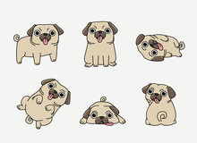 Funny Pug In Different Pose Set