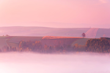 Poster - Agriculture Fields in Fog at Sunrise. Autumn Season. Polish Countryside Landscape