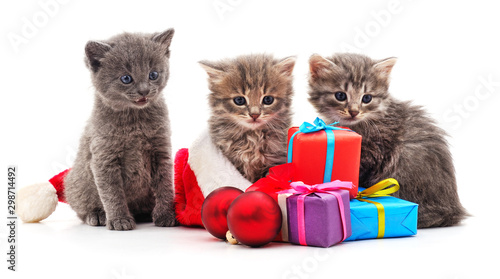 Fotografía Three red kittens in the hat Santa.