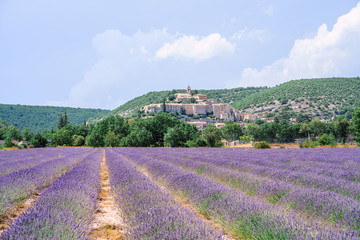 Vue panoramique sur le village de Banon, Alpes de Haute Provence, France. Champ de lavande au premier plan.	