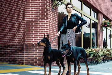 A girl walks along the street in the city along the building with two Dobermans on a leash.