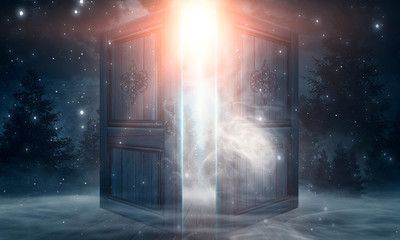open doors. abstract light. night view, magic fantasy, smoke, smog, neon. dark forest. abstract dark