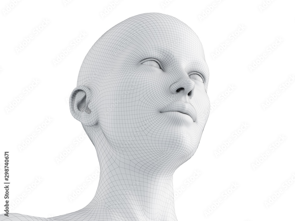 3d rendered medically accurate illustration of a female wireframe head ...